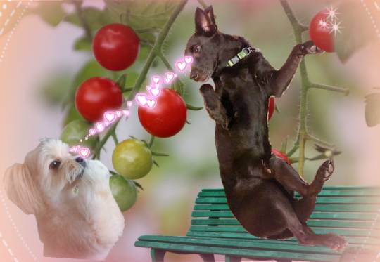 生き物ルーム第24