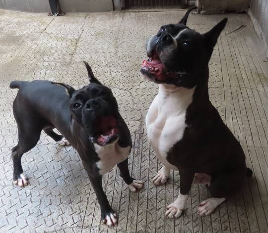 生き物ルーム第24