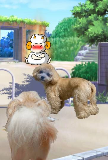 生き物ルーム第24