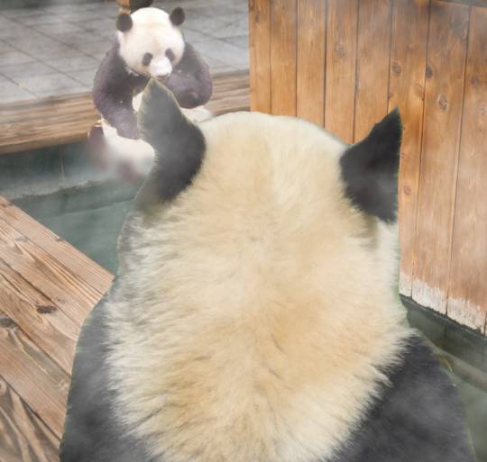 生き物ルーム第24