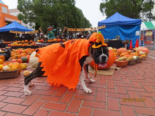 生き物ルーム第26