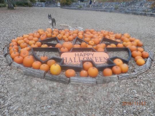 生き物ルーム第24