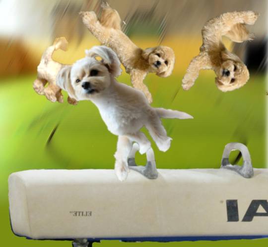 生き物ルーム第26