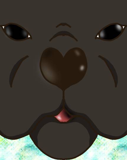 生き物ルーム第24