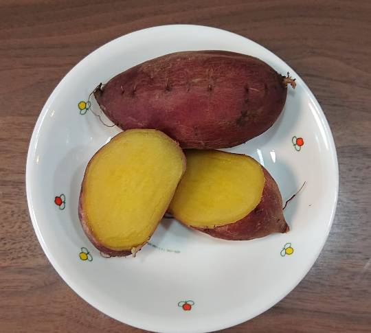 マスク同窓会詰所兼ニューフェイス歓迎所5