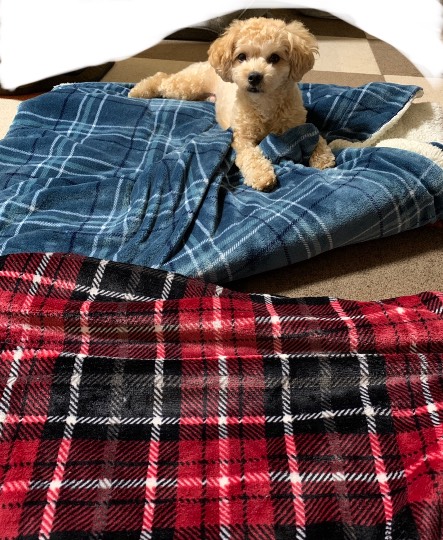 生き物ルーム第26