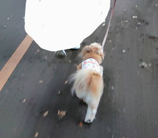 生き物ルーム第24