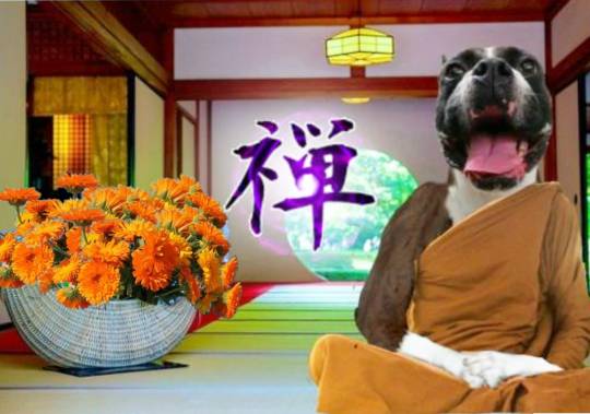 生き物ルーム第26