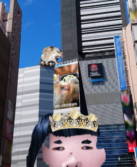 生き物ルーム第26