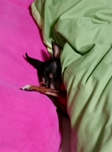 生き物ルーム第24