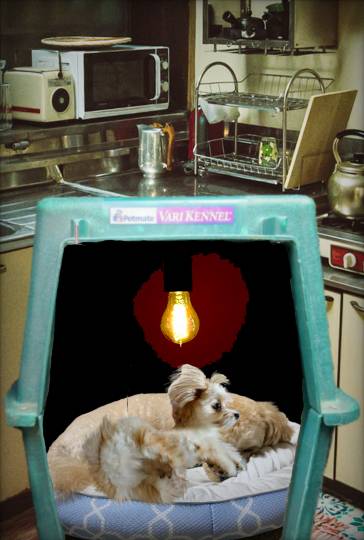 生き物ルーム第24