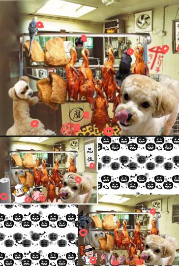 生き物ルーム第24