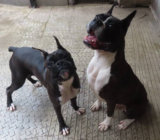 生き物ルーム第24