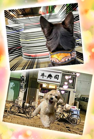 生き物ルーム第24