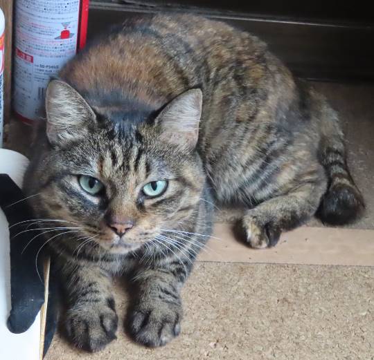 生き物ルーム第24