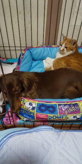 生き物ルーム第24