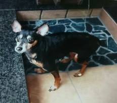 生き物ルーム第24