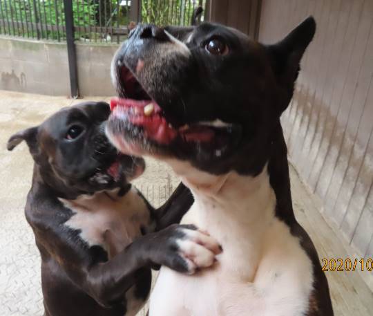 生き物ルーム第24