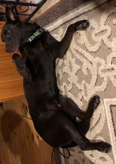 生き物ルーム第24