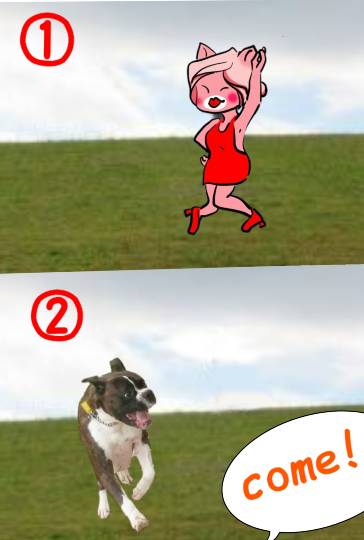 生き物ルーム第26