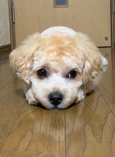 生き物ルーム第24