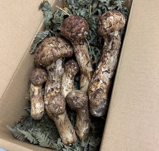 EGG'S CAFE 『雑談板5周年おめでとう』