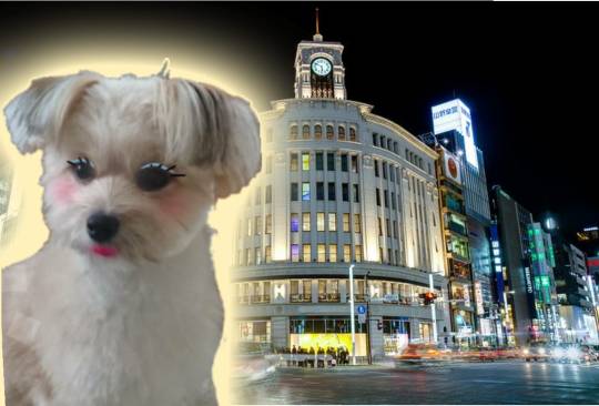 生き物ルーム第24