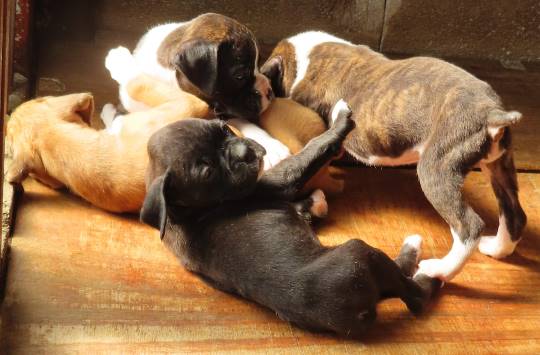 生き物ルーム第24