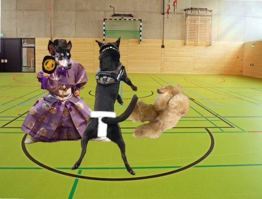 生き物ルーム第26