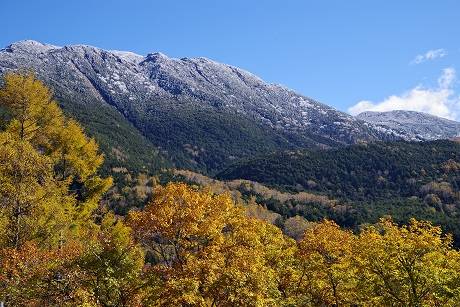 花鳥風月に心を込めて...　(エアー花トピ2)
