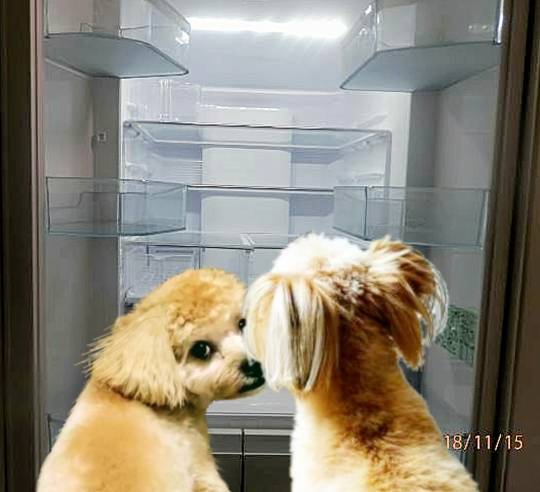 生き物ルーム第26