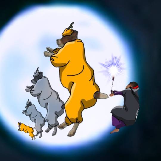 生き物ルーム第26