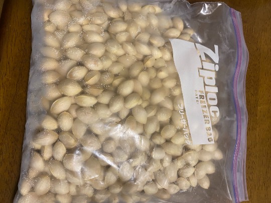 マスク同窓会詰所兼ニューフェイス歓迎所5