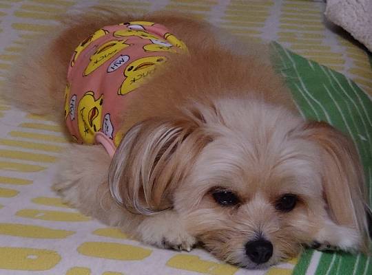 生き物ルーム第24