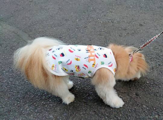 生き物ルーム第24