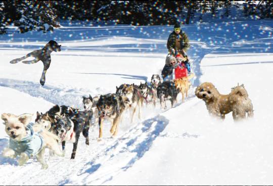 生き物ルーム第26