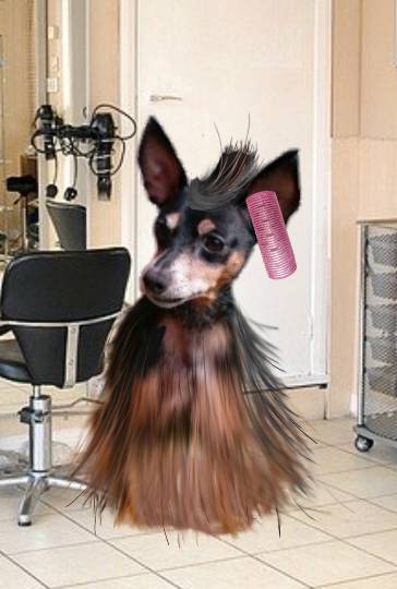 生き物ルーム第26