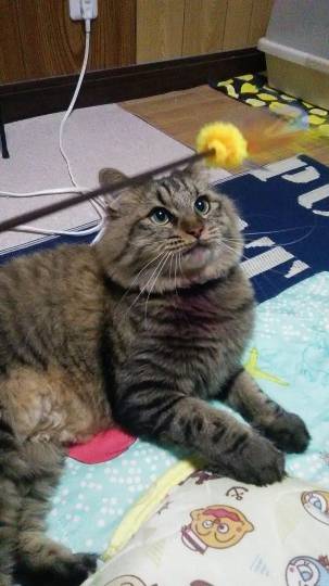 生き物ルーム第24