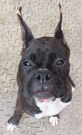 生き物ルーム第24