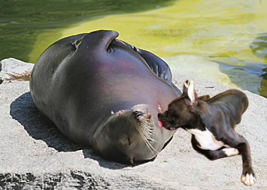 生き物ルーム第24