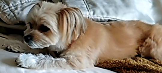 生き物ルーム第24