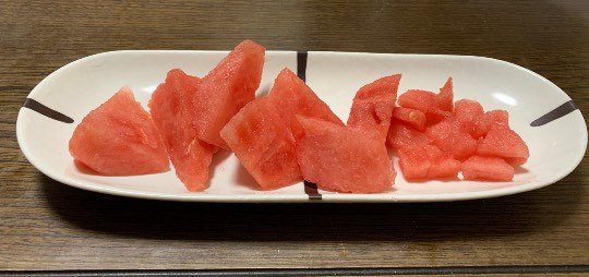 生き物ルーム第24