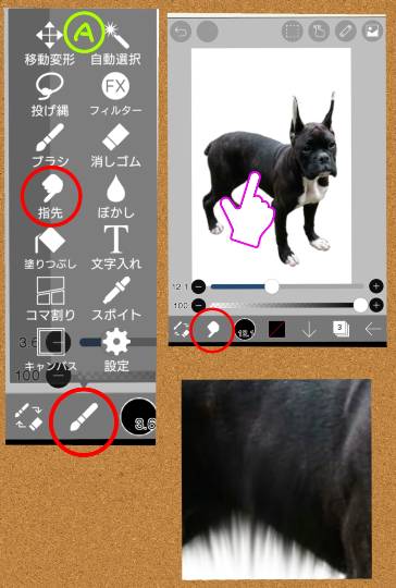生き物ルーム第26