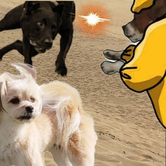 生き物ルーム第26