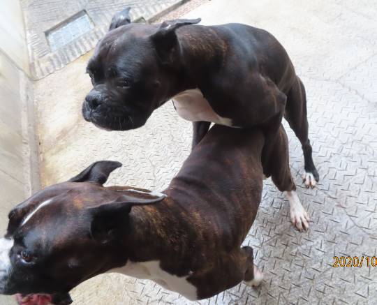 生き物ルーム第24