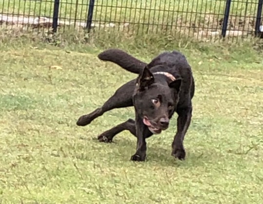 生き物ルーム第26