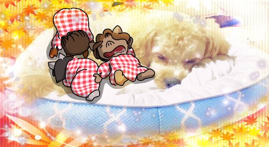 生き物ルーム第24