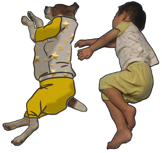 生き物ルーム第26