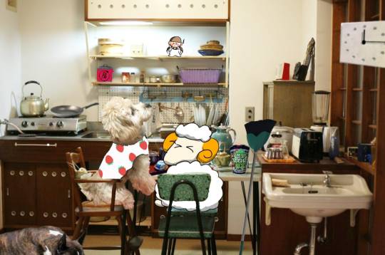 生き物ルーム第24