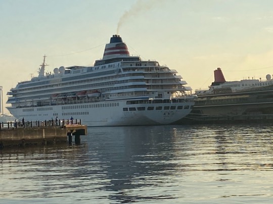 マスク同窓会詰所兼ニューフェイス歓迎所5